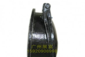 DN1000復(fù)合材料拍門側(cè)面圖